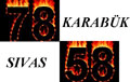 _zaraLI_ - Ait Kullanıcı Resmi (Avatar)